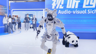 情陷撒哈拉